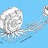A Long-Term Strategy for Secure Asset Growth via Institutional MetaMorpho Vaults