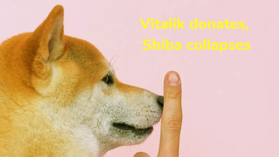 Vitalik donates, Shiba collapses