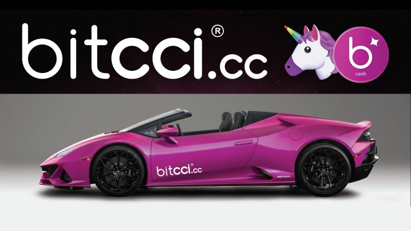 bitcci launches bitcci cloud