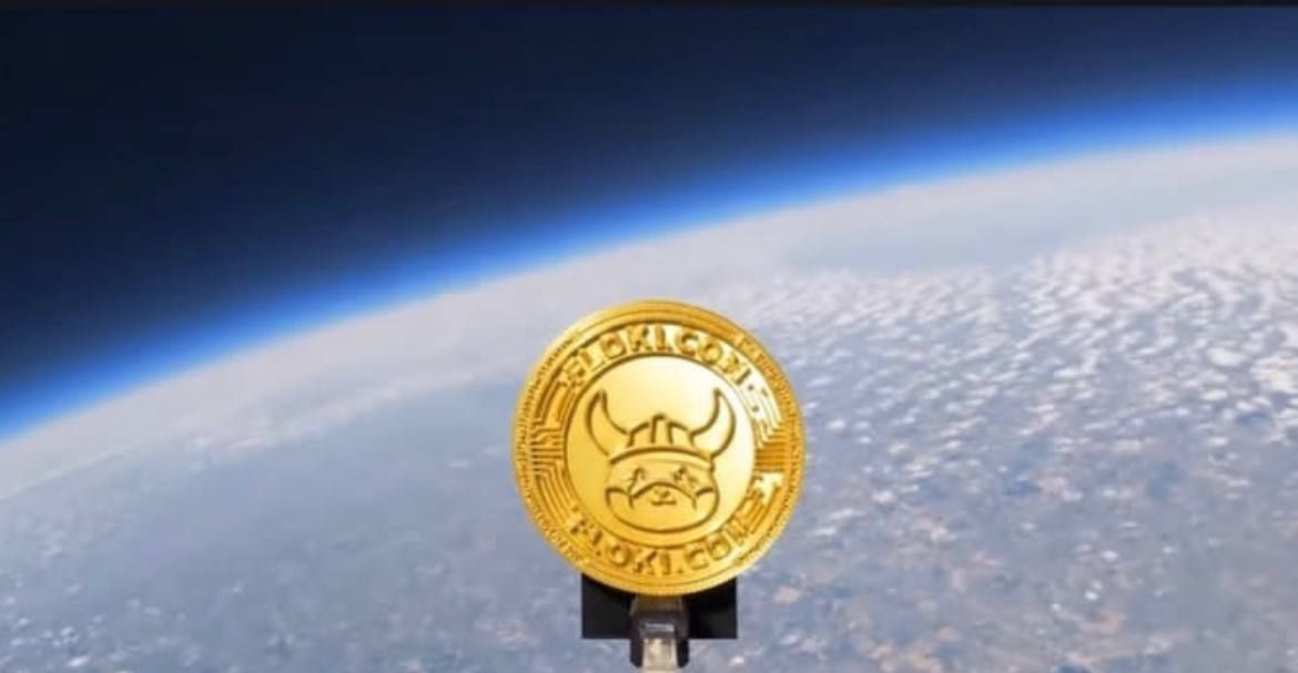 floki inu token in space