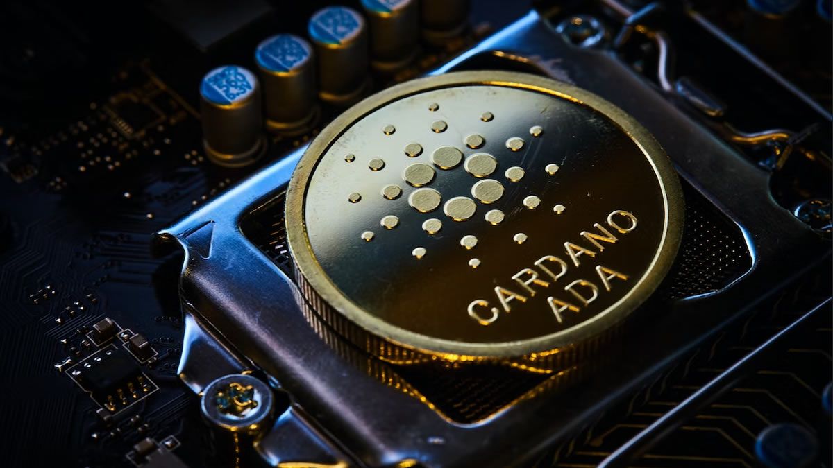 A developer warns that the Cardano Testnet is catastrophically flawed