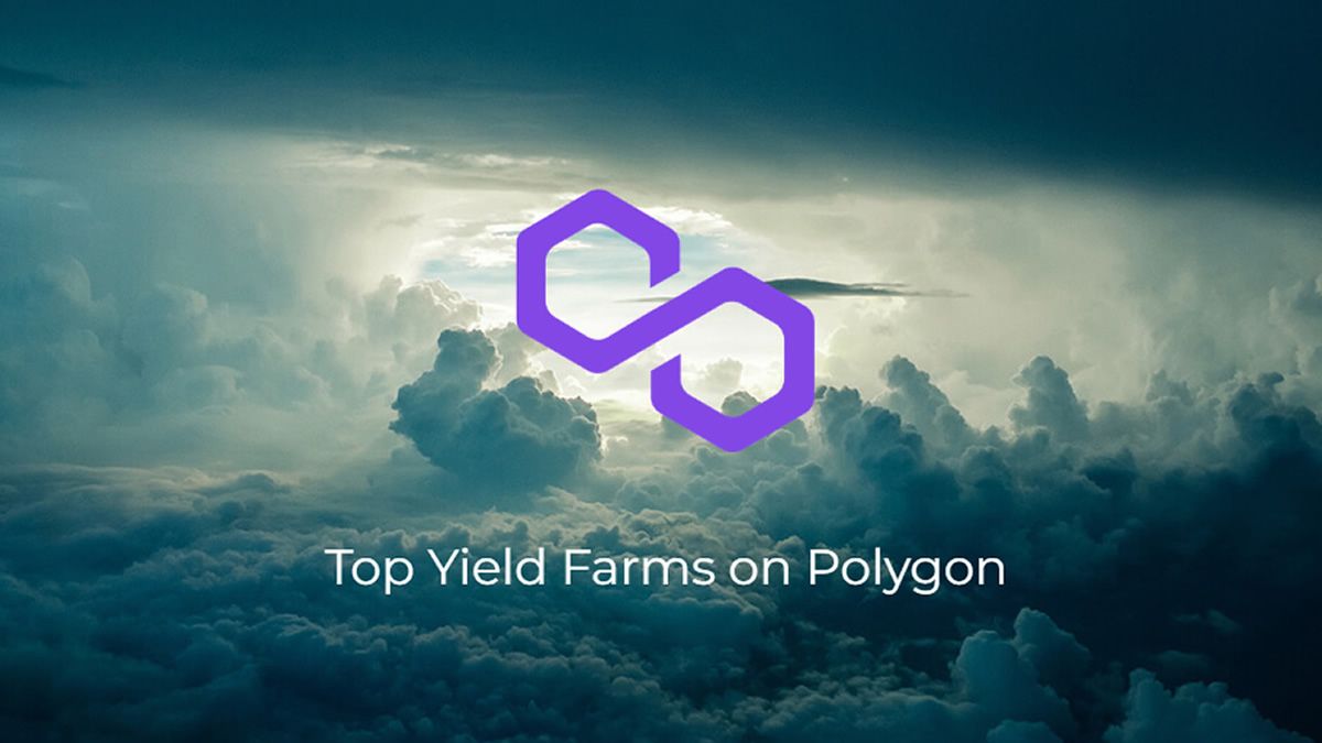 top yield farms on polygon