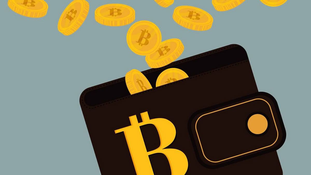 Las Wallets de Bitcoin con las Comisiones Más Competitivas