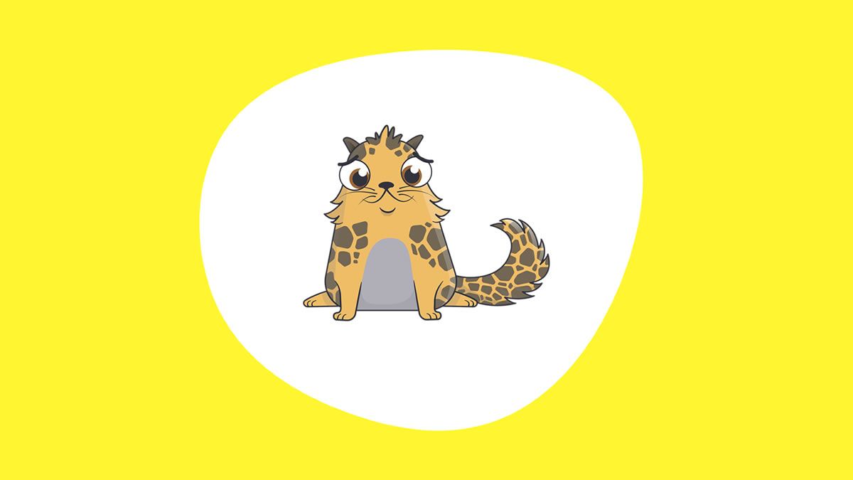 What are NFT avatars?