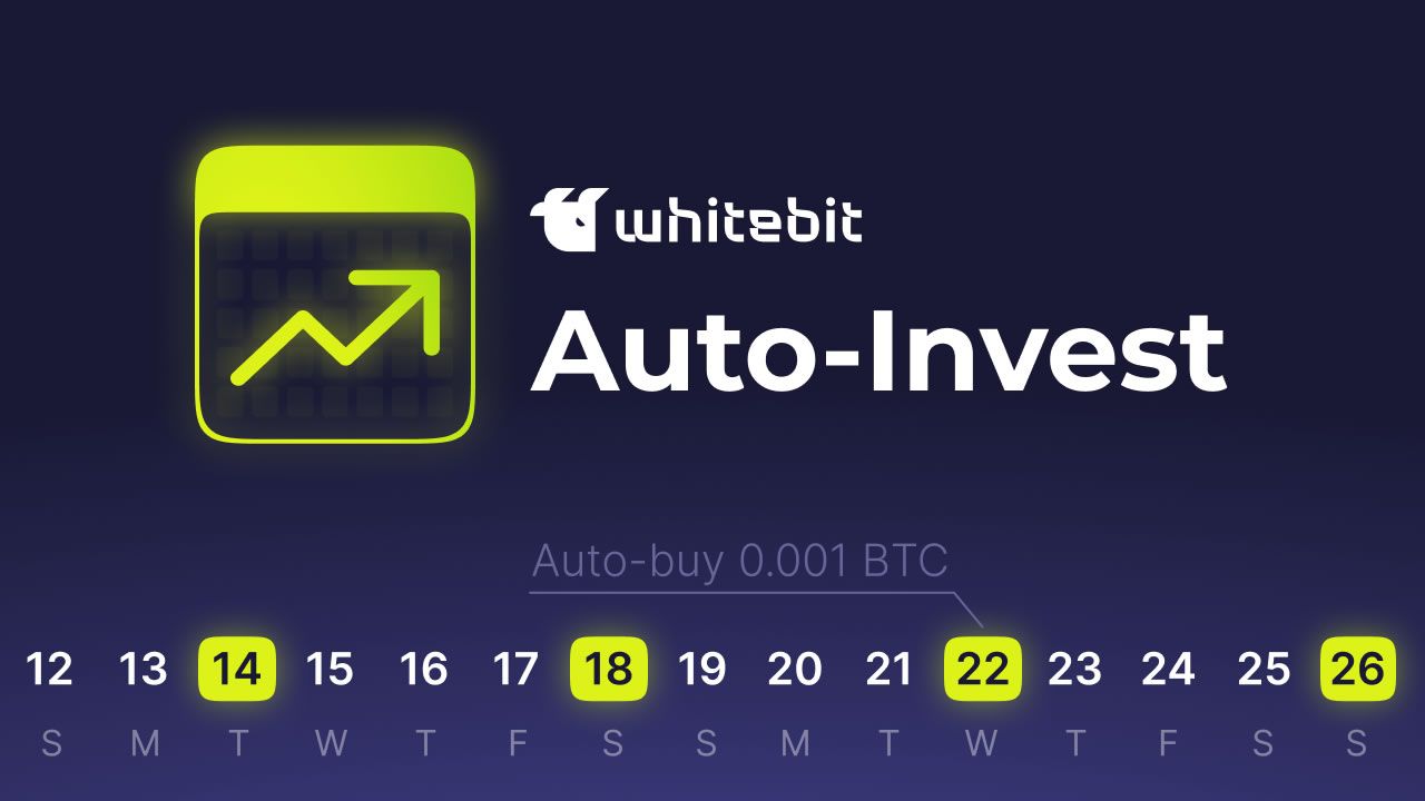 Whitebit autoinvest