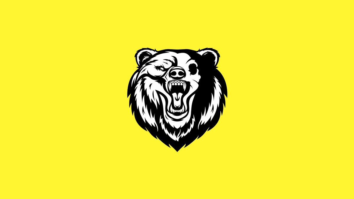 crypto bear markets