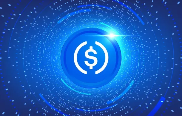 Circle's Wall Street Debut: Is the USDC Issuer Overvalued After Explosive IPO?