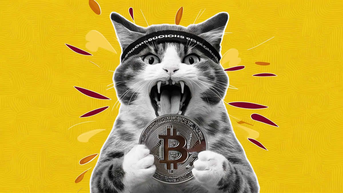 Keith Gill AKA Roaring Kitty has disclosed a 6.6 stake in Chewy