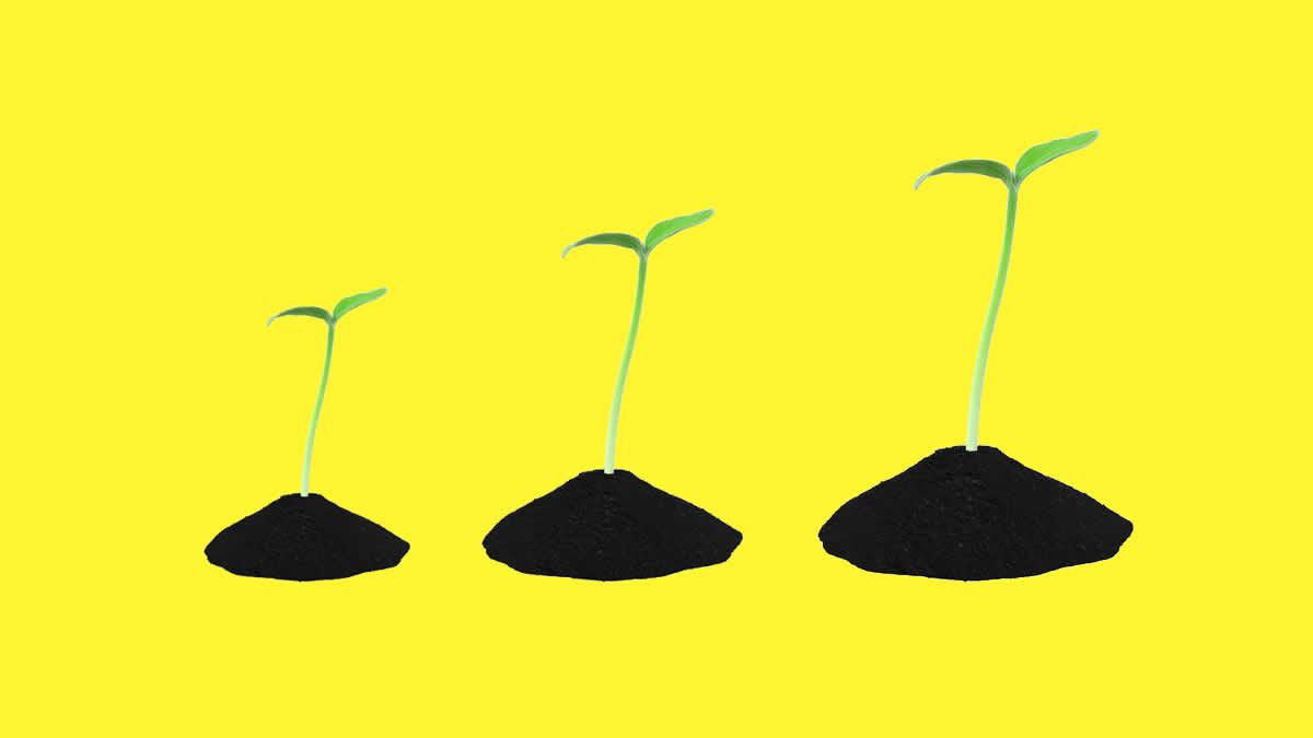 Fastest Growing Cryptocurrencies