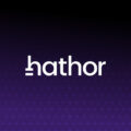 Hathor Network: A Scalable and truly decentralized protocol