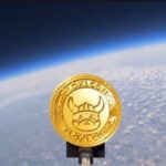 Floki Celebrates One Year Birthday by Launching Token Into Space