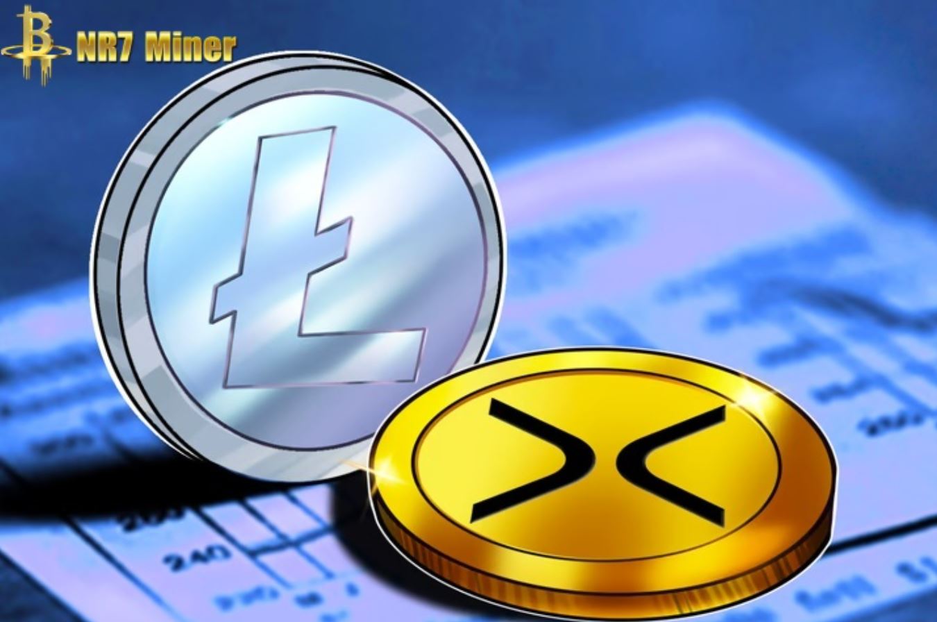 NR7 Miner