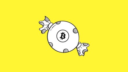 wrapped tokens