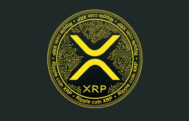 Understanding XRP and Its Ecosystem